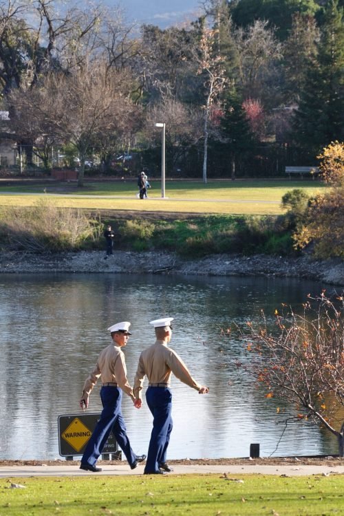 Scene from Almaden Lake Park